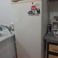 یخچال و فریزر هیمالیا