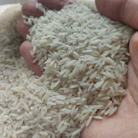 برنج طارم هاشمی آمل - ارسال نمونه تستی قبل از خرید