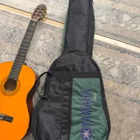 گیتار سانچز sanchez مدل