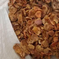 برگه زردآلو درجه یک
