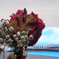 هرس و بریدن انواع درخت.بیل زدن باغچه