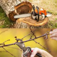 خرید چوب و خدمات باغی و تزئین  و هرس درختان