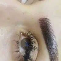 روشن سازی و فیبروز تیره از ۶۰۰تا۷۵۰