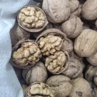 گردو درجه یک پوست کاغذی|خوردنی و آشامیدنی|شیراز, درکی|دیوار