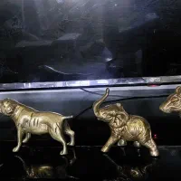 تعدادی حیوانات برنزی سالم ۰ سگ شیر فیل اسب اهو|مجسمه، تندیس، ماکت|اسلام‌شهر, زرافشان|دیوار