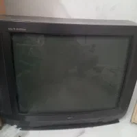 تلویزیون