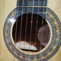 گیتار نونو جفتش کیف داره رو هم دیگه می دم 10000