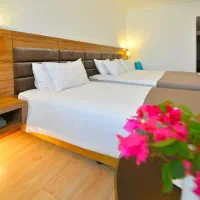 ریلی ویژه اذر