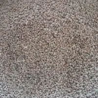 راهنمایی بفرمایید ممنون