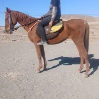 کلاسی آموزشی