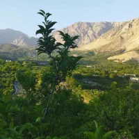 فروش باغ روستای کوخدان