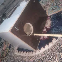 لانه عروس هلندی بایک بسته زیر پایی داخل لانه