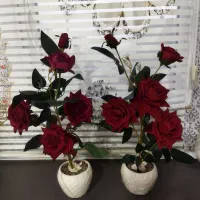 دو عدد گلدان گل رز قرمز