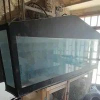 آکواریوم ماهی ۲ متری
