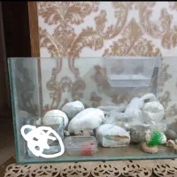 اکواریوم