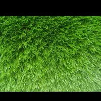 پخش چمن مصنوعی|گل مصنوعی|نجف‌آباد, حومه نجف آباد|دیوار