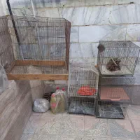 چند عدد قفس در حد نو سالم|لوازم جانبی حیوانات|قدس, شهر‌قدس|دیوار