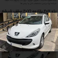 ۲۰۷پاناروما دنده ای