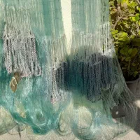 سرب اهنی|ماهیگیری|لردگان, |دیوار