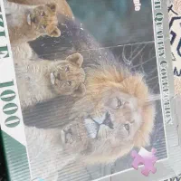 پازل ۱۰۰۰ تیکه