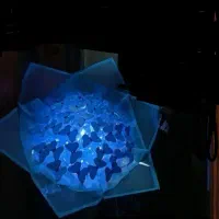 دسته گل پروانه ای