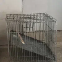 قفس سهره