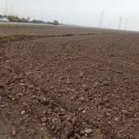 زمین زراعی.کشاورزی|فروش دفتر صنعتی، کشاورزی، تجاری|فاضل آباد, |دیوار