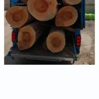 خریدشماچوب نقد