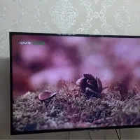 تلویزیون|تلویزیون و پروژکتور|آستارا, |دیوار