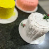 مینی کیکفقط۲۵۰|خوردنی و آشامیدنی|ایذه, |دیوار