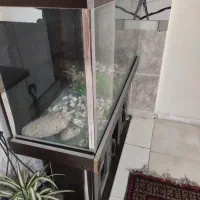 آکواریوم بزرگ