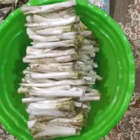 کنگر فروشی ۱۵۰ هزار