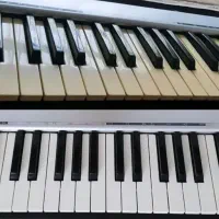 سفید کننده کلاویه ارگ و پیانو