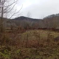 فروش-زمین-540-متری-در-هزارجریب-متری-یک-میلیون