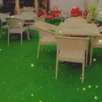 به یک نیرو خانم جهت کاردرکافه نیاز مندم