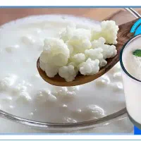 دوغ کفیر