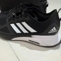 کتانی مردانه سایز ۴۲|کیف، کفش، کمربند|کرج, دهقان ویلا|دیوار