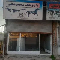 اجاره مغازه