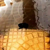 شوینده نانو بدون بو بدون اسیدو اسیب رسان