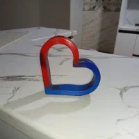 گلجا(گلدان)|گل و گیاه طبیعی|زنجان, |دیوار