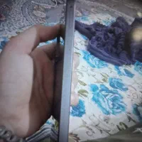 گوشی موبایل|موبایل|بندرعباس, |دیوار