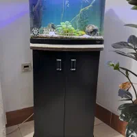 آکواریوم با میز ایستاده دو درب