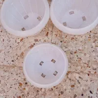 گلدان خانگی|گل مصنوعی|رشت, رشتیان|دیوار