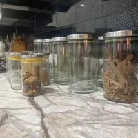 جا حبوباتی|ظروف نگهدارنده، پلاستیکی، یک‌بارمصرف|قرچک, شهرک طلائیه|دیوار