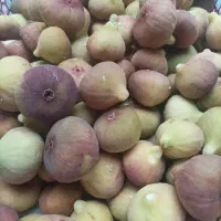 فروش انجیر تازه و خوشمزه