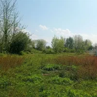 زمین-مسکونی