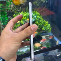 سامسونگa22 5g|موبایل|شیراز, زند|دیوار