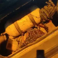 پراید مدل ۸۰موتور نو لاستیک نو|خودرو سواری و وانت|شیراز, منطقه هوایی شهید دوران|دیوار