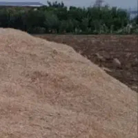 کاه  گندم ۳۰تن    ۱۰ت