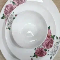 سرویس ۶ نفره پارس اوپال